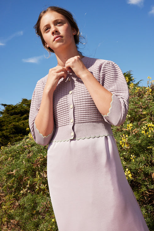 Pashmini Lavendar Maxi