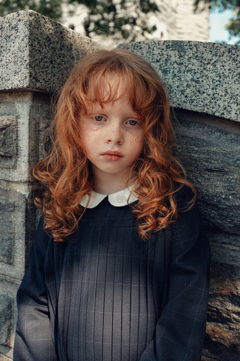 Cottier Eleanor Dress