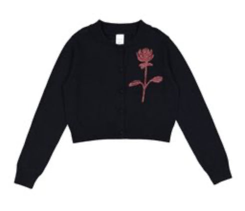 Ava and Lu Striped Skirt & Embroidered Cardigan